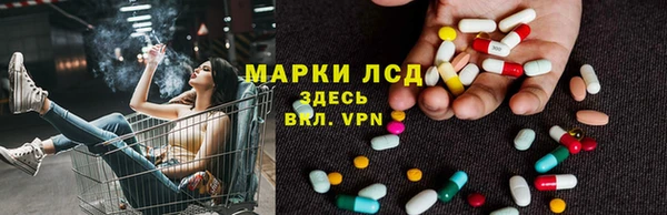 ECSTASY Алзамай