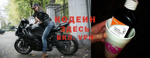 ECSTASY Алзамай